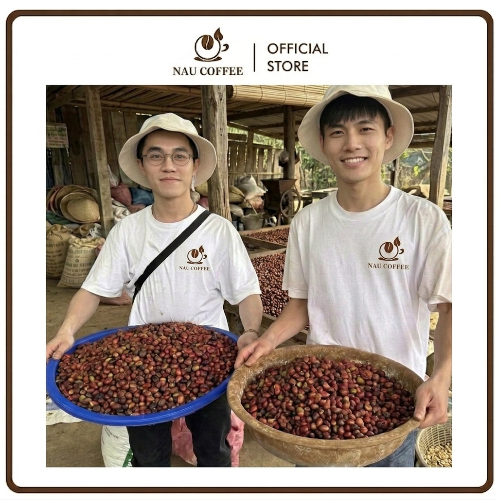 Nông trường cà phê Bảo Lộc